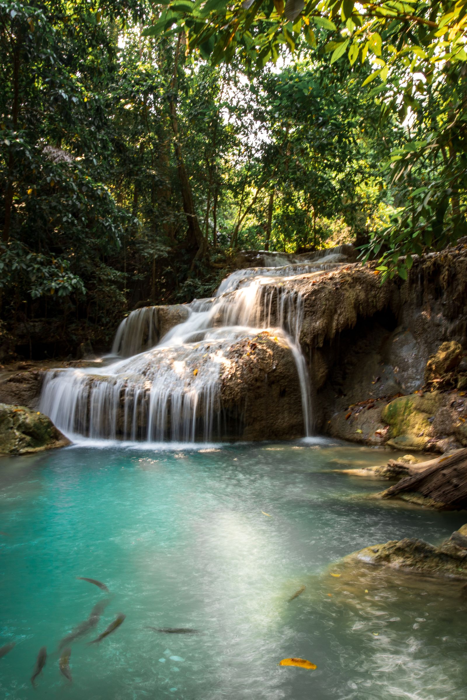Chiseni Waterfall Hike